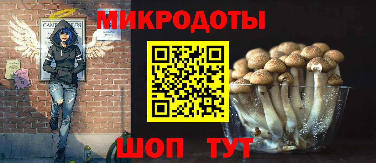 Псилоцибиновые грибы Cubensis Анапа